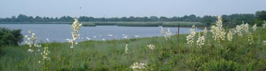 Jamaica Bay Wildlife Refuge - West Pond